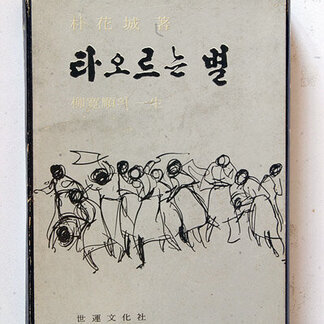박화성 작품 9