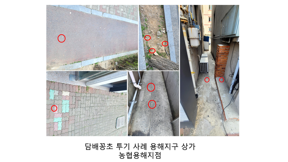담배꽁초 무단 투기 사례 용해지구