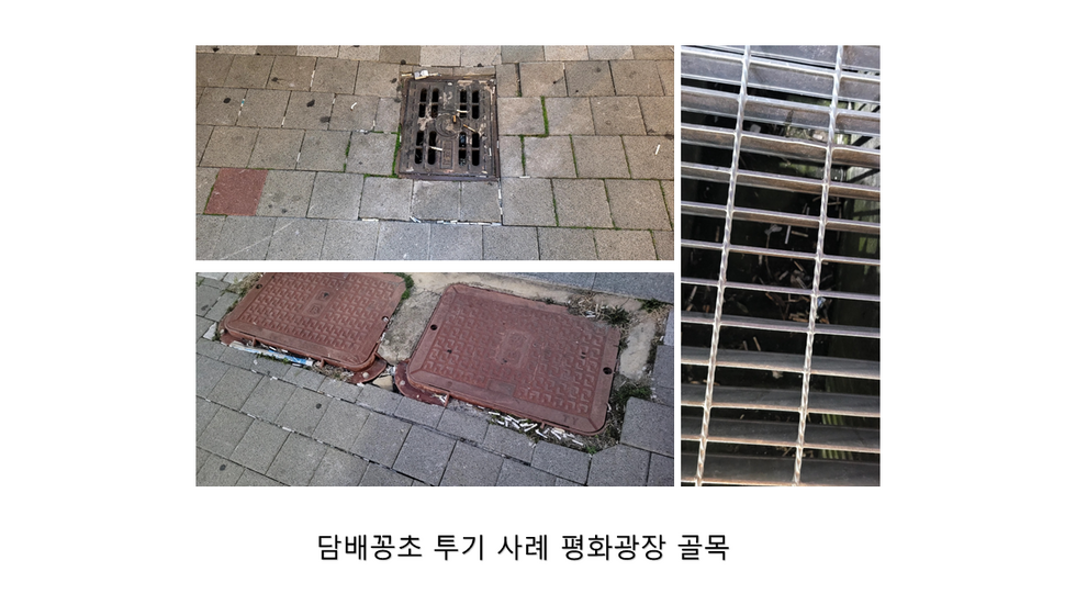 담배꽁초 무단 투기 사례 평화광장