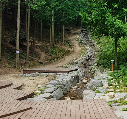 나무가 푸르른 양을산 산림욕장 산책길