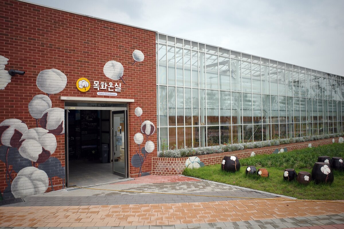 목화체험장 입구