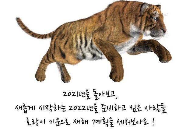 1월 새해계획 세우기