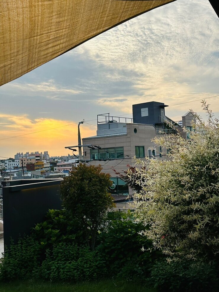 5. 25. 운영사진.jpg